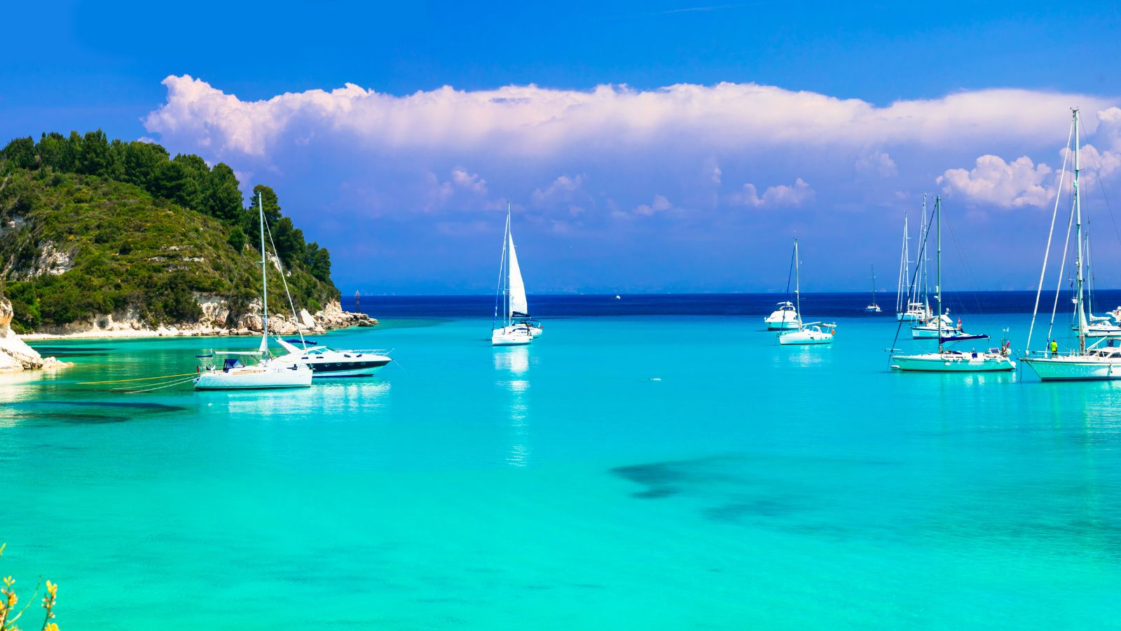 Seal on board yacht in The Mediterranean